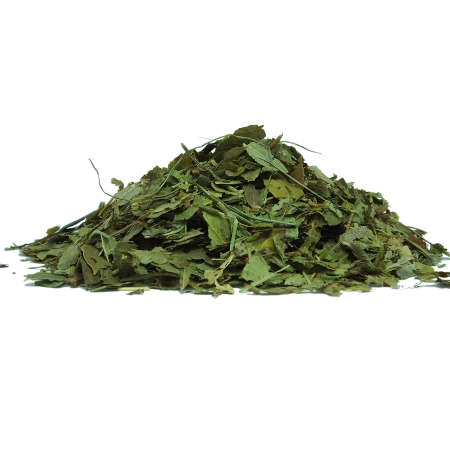 Myrtille Feuilles coupées bio - Infusion, tisane